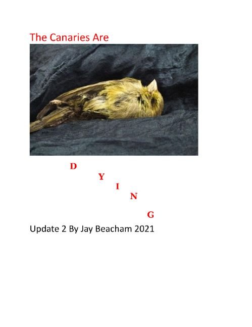 The Canaries Are Dying