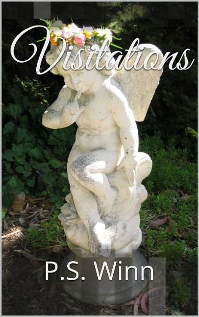 https://www.amazon.com/Visitations-P-S-Winn-ebook/dp/B00RMDB5J8