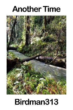 Author Poet Birdman313